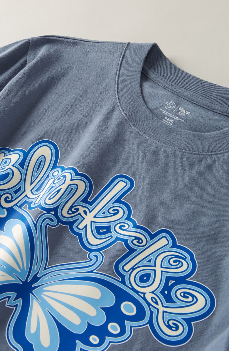 Treasure & Bond Kids' Band Graphic Cotton T-Shirt, Alternate, color, Blue Chip Blink 182