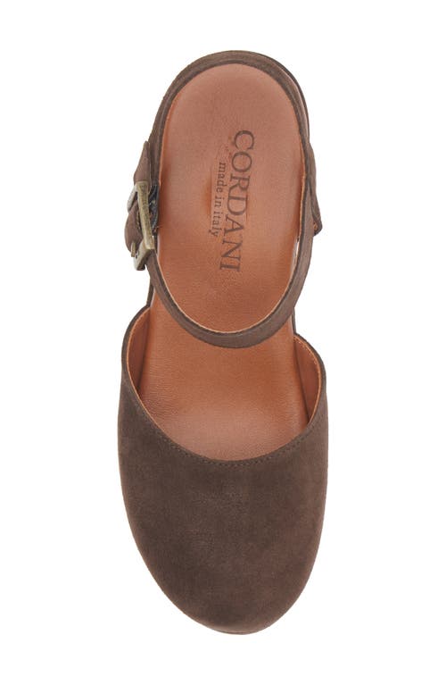 Cordani Warner Ankle Strap Platform Clog In Brown