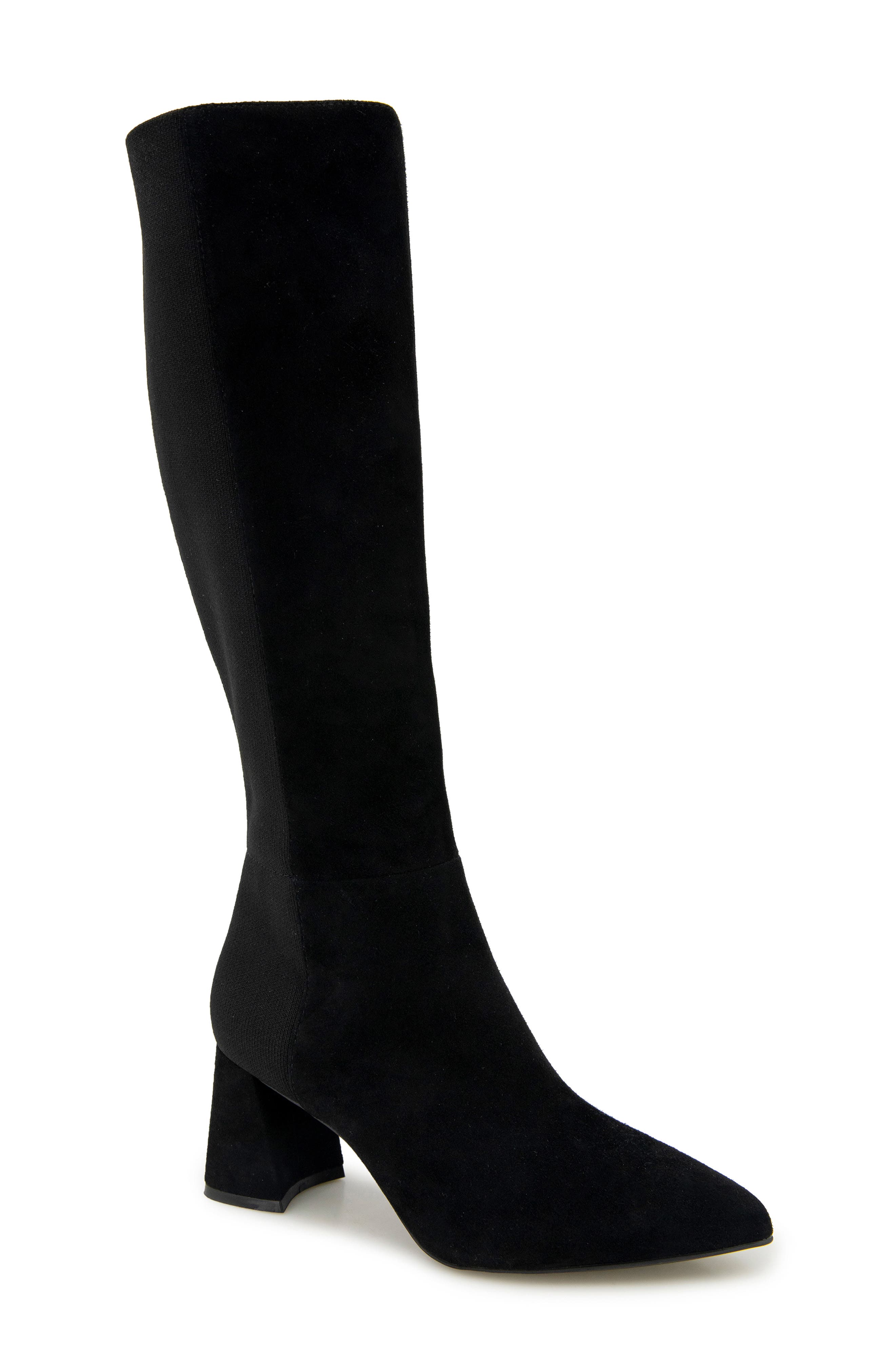 Gentle Souls Dionne Pointed Toe Knee High Boot, Main, color, 