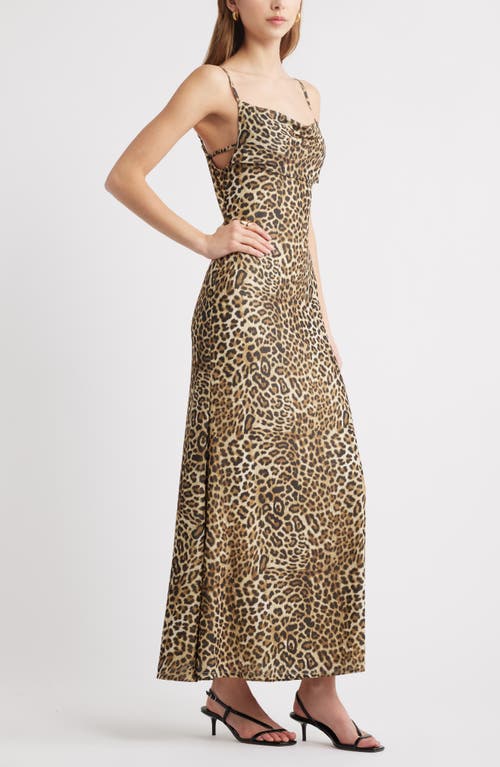 Open Edit Print Mesh Maxi Dress In Beige Goldrown Leopard