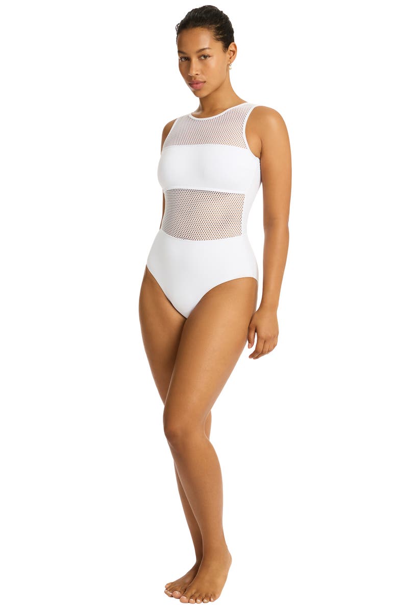 Sea Level Drift Mesh Inset One-Piece Swimsuit, Alternate, color, 