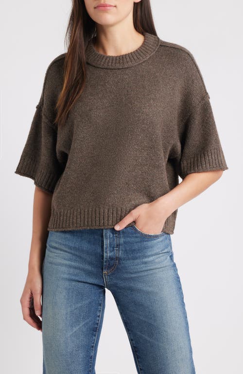 CITY BLUES Broome Crop Short Sleeve Sweater in Earth  product