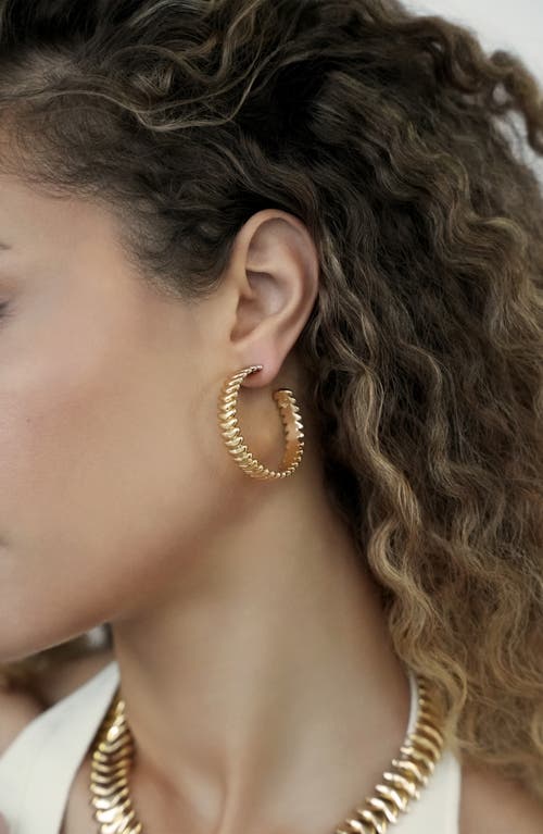 Ettika Metal Moderna Medium Half Hoop Earrings In Gold