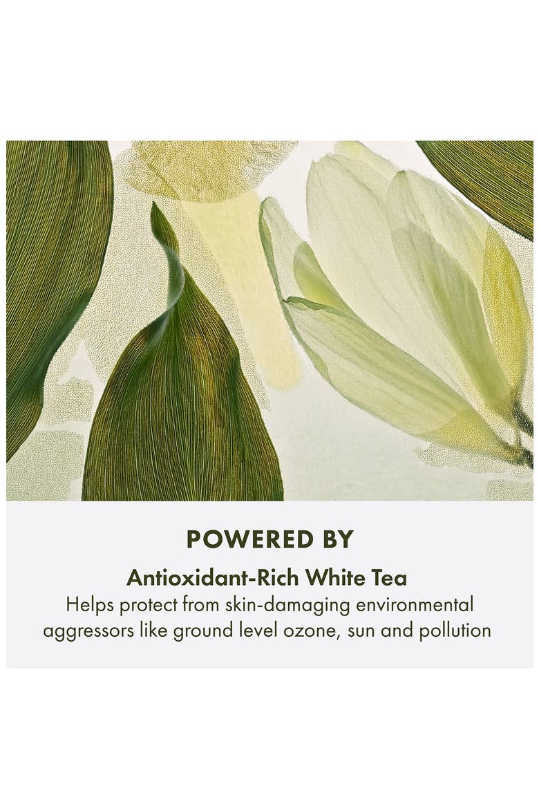 A Perfect World™ Antioxidant Moisturizer with White Tea, Alternate, color, NO COLOR