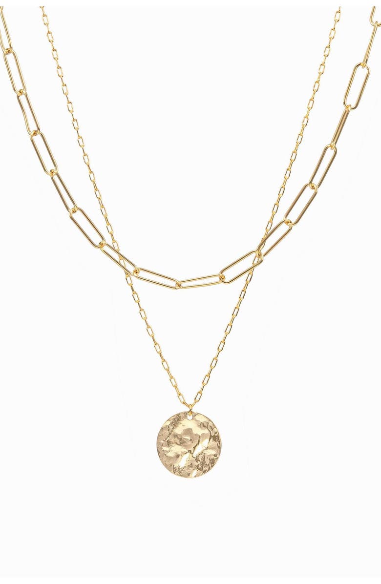 Bearfruit Jewelry 14k Gold Plated Roth Layered Necklace Trendy Everyday Minimalist, Main, color, Gold