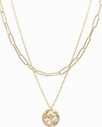 Bearfruit Jewelry 14k Gold Plated Roth Layered Necklace Trendy Everyday Minimalist