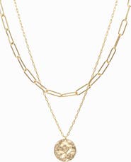 Bearfruit Jewelry 14k Gold Plated Roth Layered Necklace Trendy Everyday Minimalist