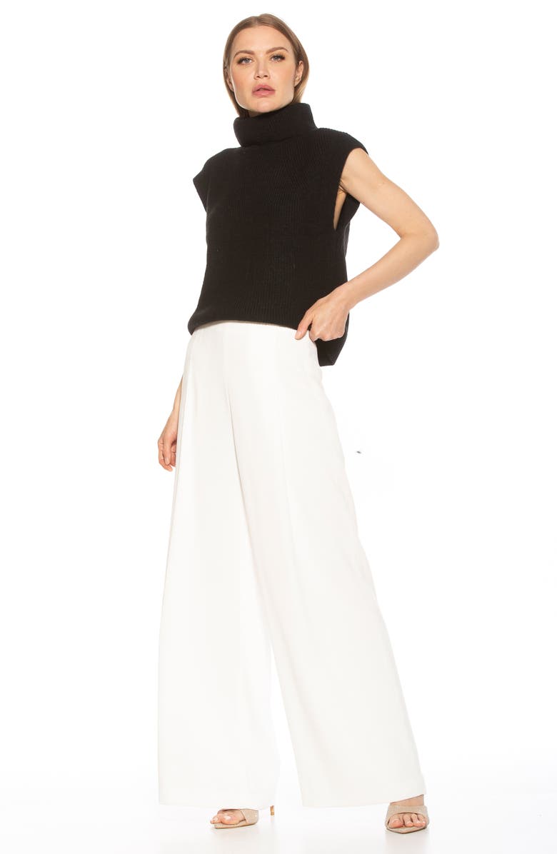 Alexia Admor Jaylani Sleeveless Turtleneck Sweater, Alternate, color, Black