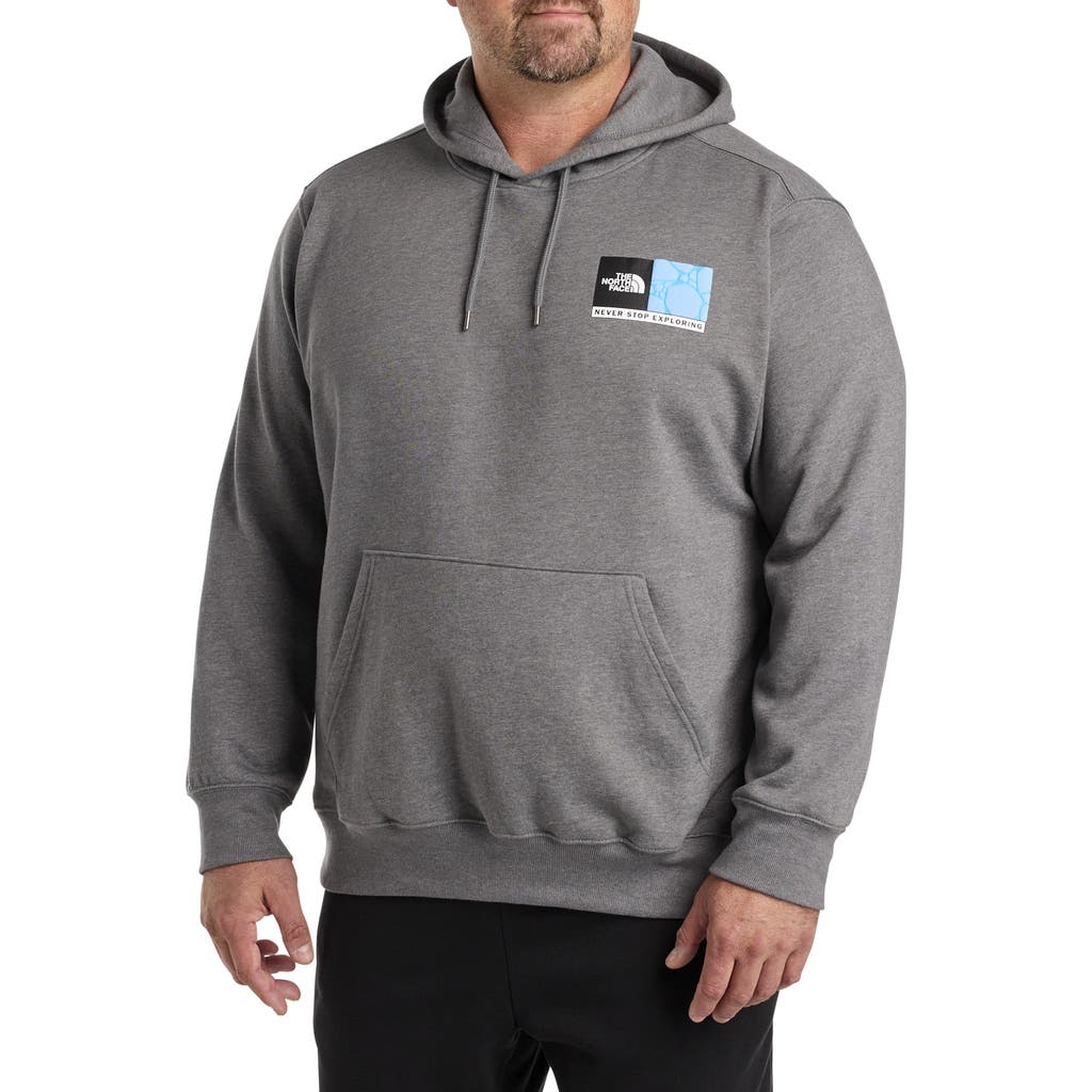 THE NORTH FACE THE NORTH FACE BIG & TALL SUSPENDED HOODIE