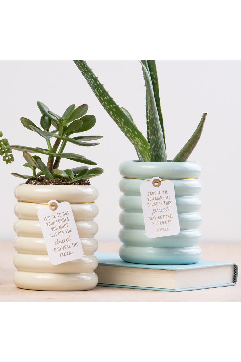 Fake It Mint Planter Ceramic Green, Alternate, color, Green