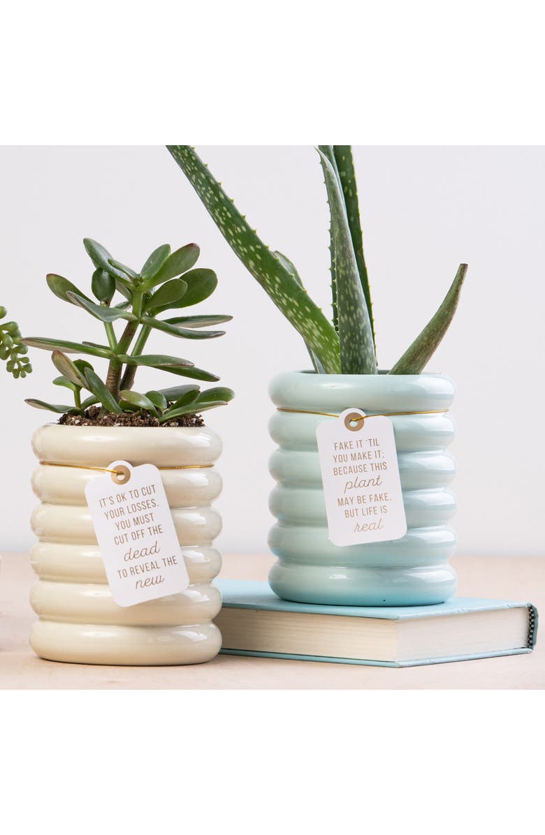 Totalee Gift Fake It Mint Planter Ceramic Green, Alternate, color, Green