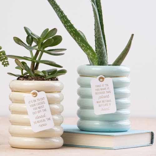 Totalee Gift Fake It Mint Planter Ceramic Green In Blue