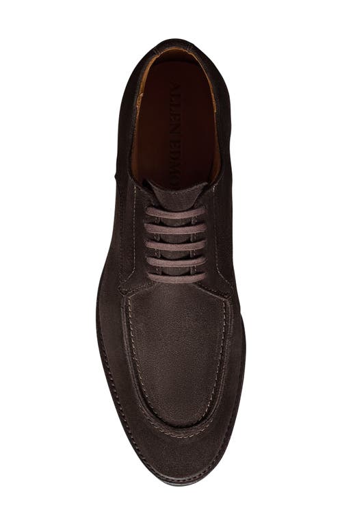 Allen Edmonds Rivington Suede Moc Toe Derby In Animal Print