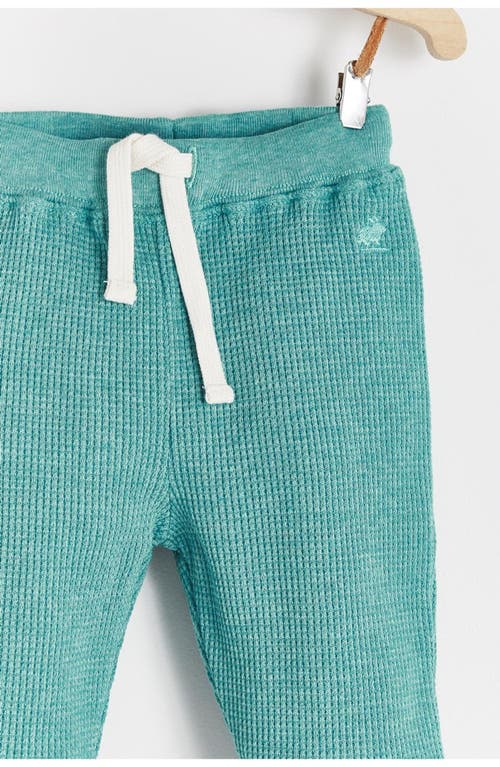 Babycottons Pima Cotton Waffle Knit Pants Sidney For Infant In Blue