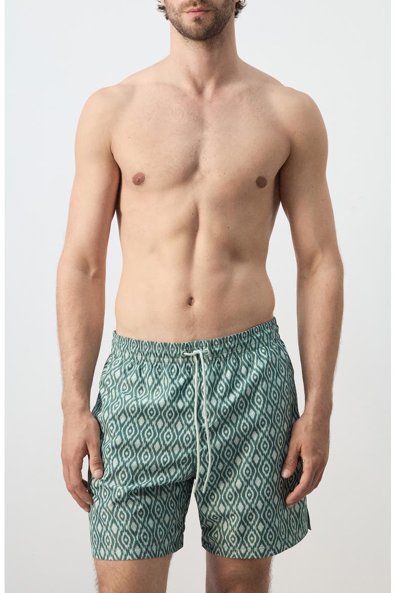 Print Swim Trunks, Main, color, GREEN