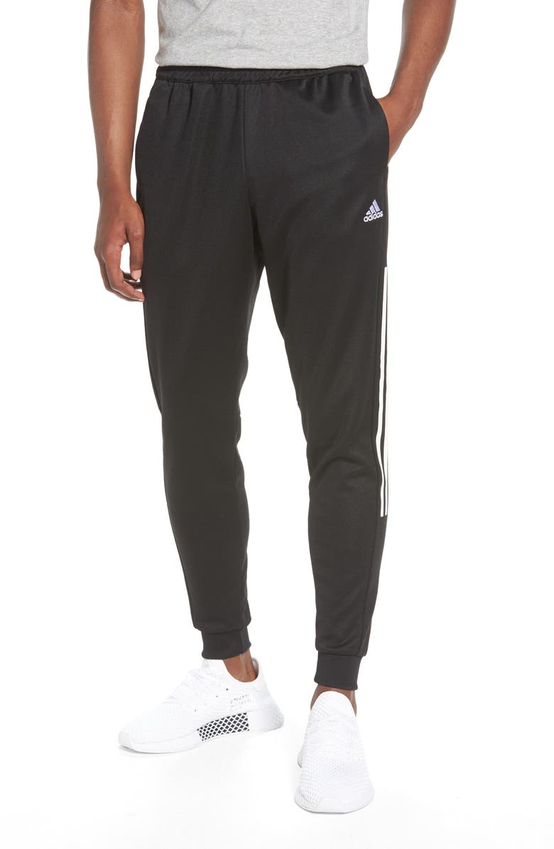 adidas Casual Regular Fit Sweatpants, Main, color, 