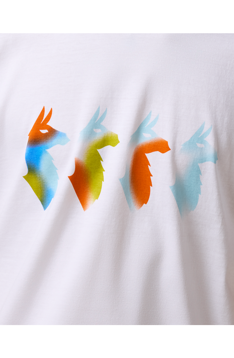 Cotopaxi Cuatro Bitmap T-Shirt - Men's, Alternate, color, White