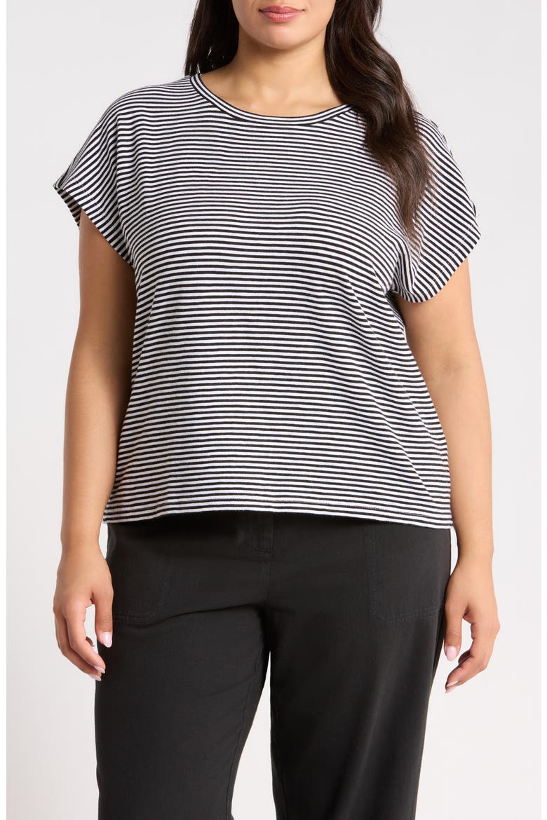 Striped Organic Cotton T-shirt, Main, color, BLKWH