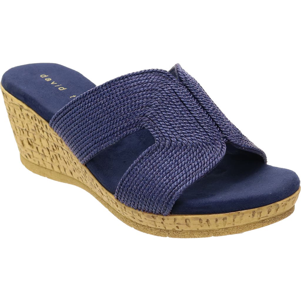 David Tate Vibe Wedge Slide Sandal In Navy