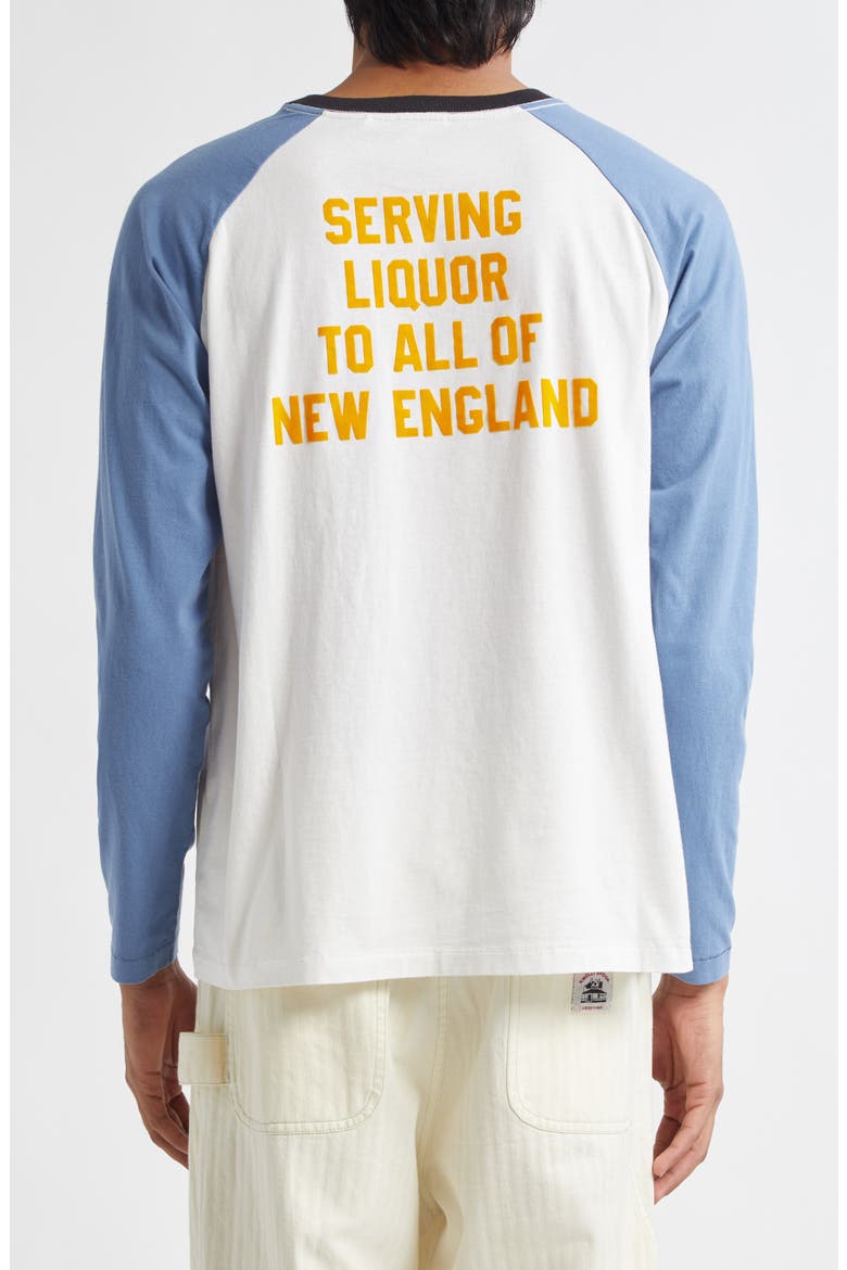 Skater Flocked Baseball T-Shirt, Alternate, color, BLUE/ CREAM