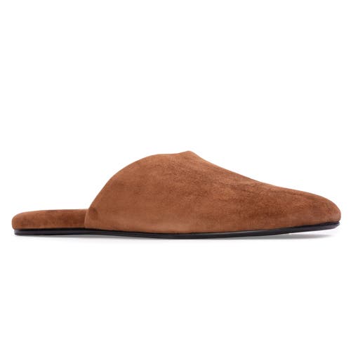 Black Suede Studio Shiloh Mule In Brown
