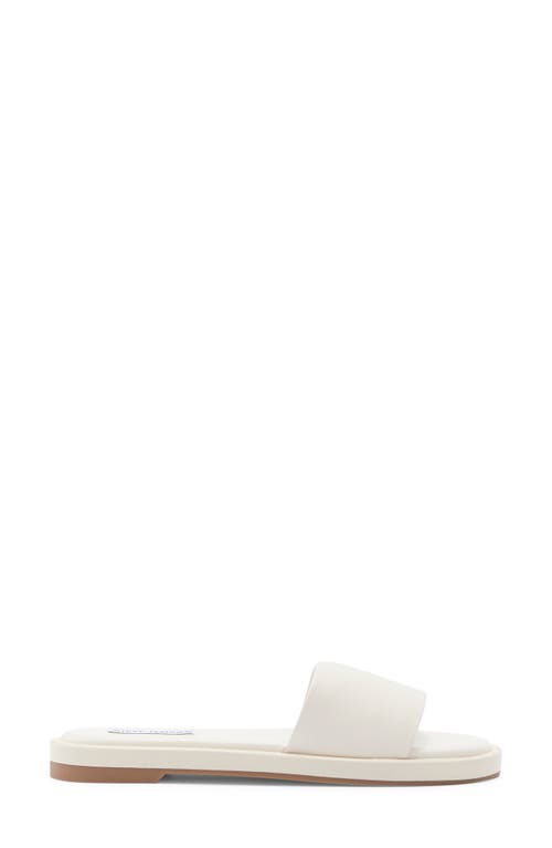 Steve Madden Riplee Slide Sandal In Multi