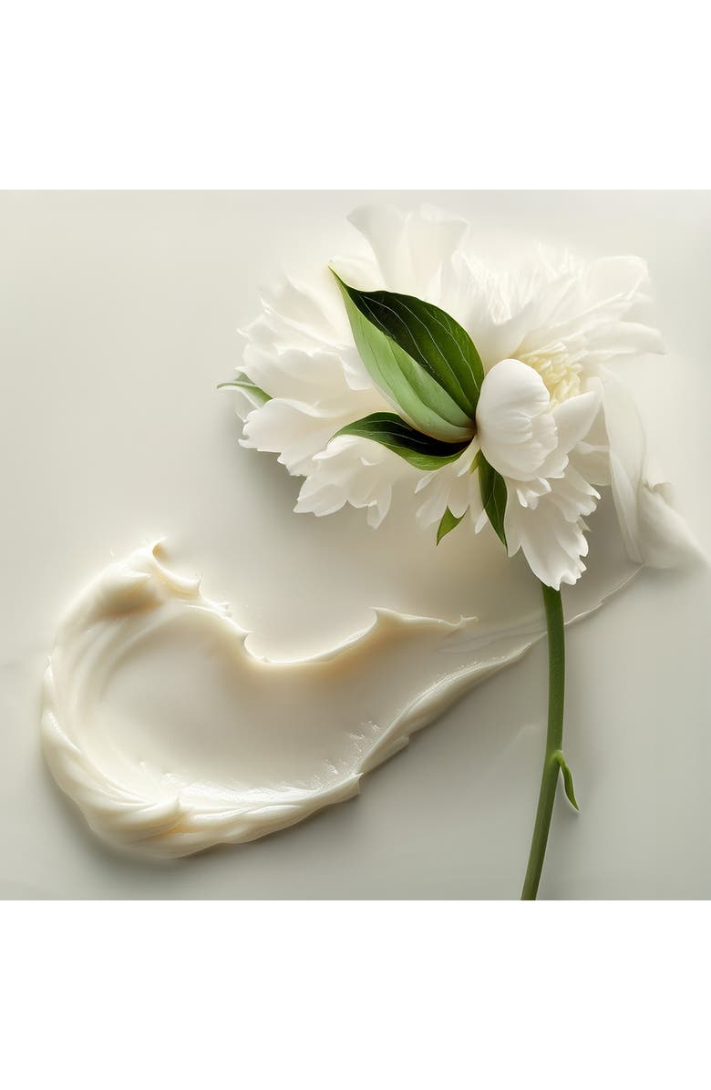 Leonor Greyl PARIS Masque Quintessence Deep Conditioning Mask for Brittle & Very Damaged Hair, Alternate, color, 