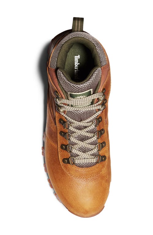 Timberland Mt. Maddsen Waterproof Hiking Boot In Light Brown