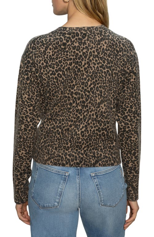 Sanctuary Must-have Cardigan In Brown