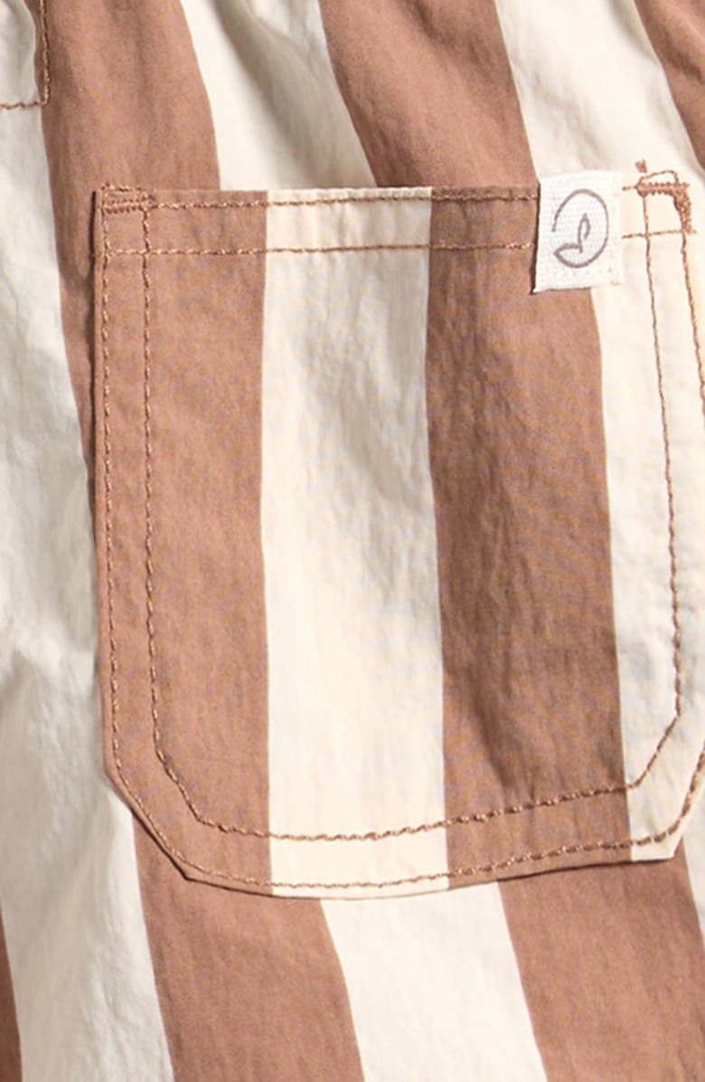 Little Planet Stripe Swim Trunks, Alternate, color, Brown Striped
