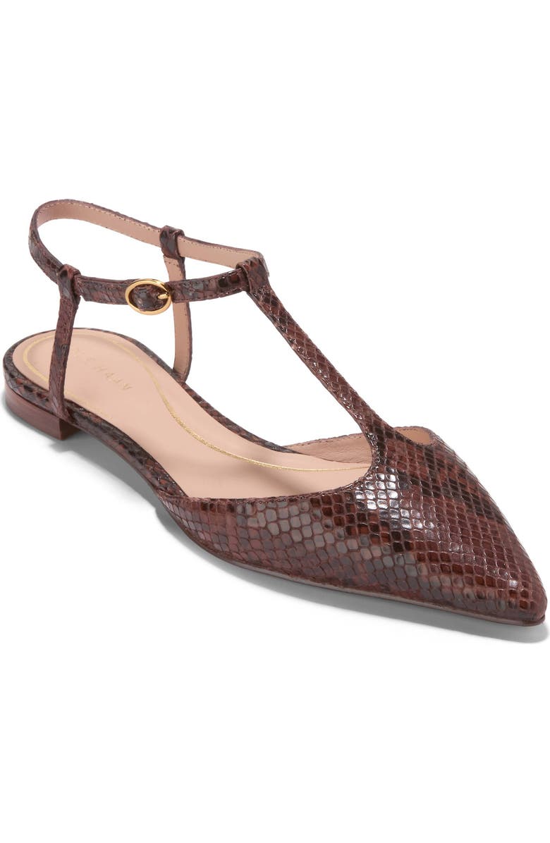 Cole Haan Marlah T-Strap Pointed Toe Ballet Flat, Main, color, Dark Cuoio Snake Print Leather