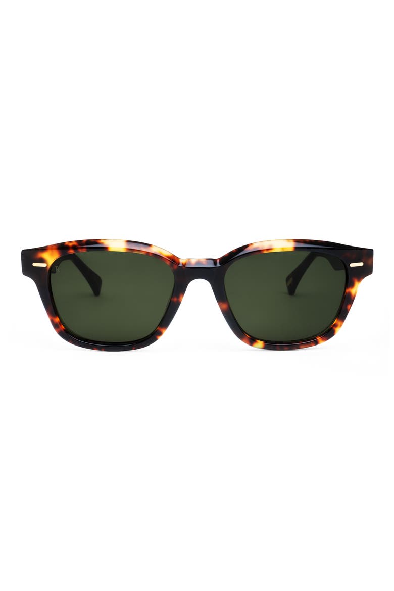 Carby 53mm Round Sunglasses, Main, color, RISTRETTO TORTOISE/ GREEN