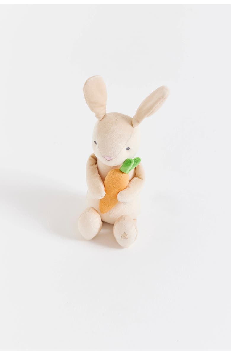 Babycottons Baby Pet, Main, color, 