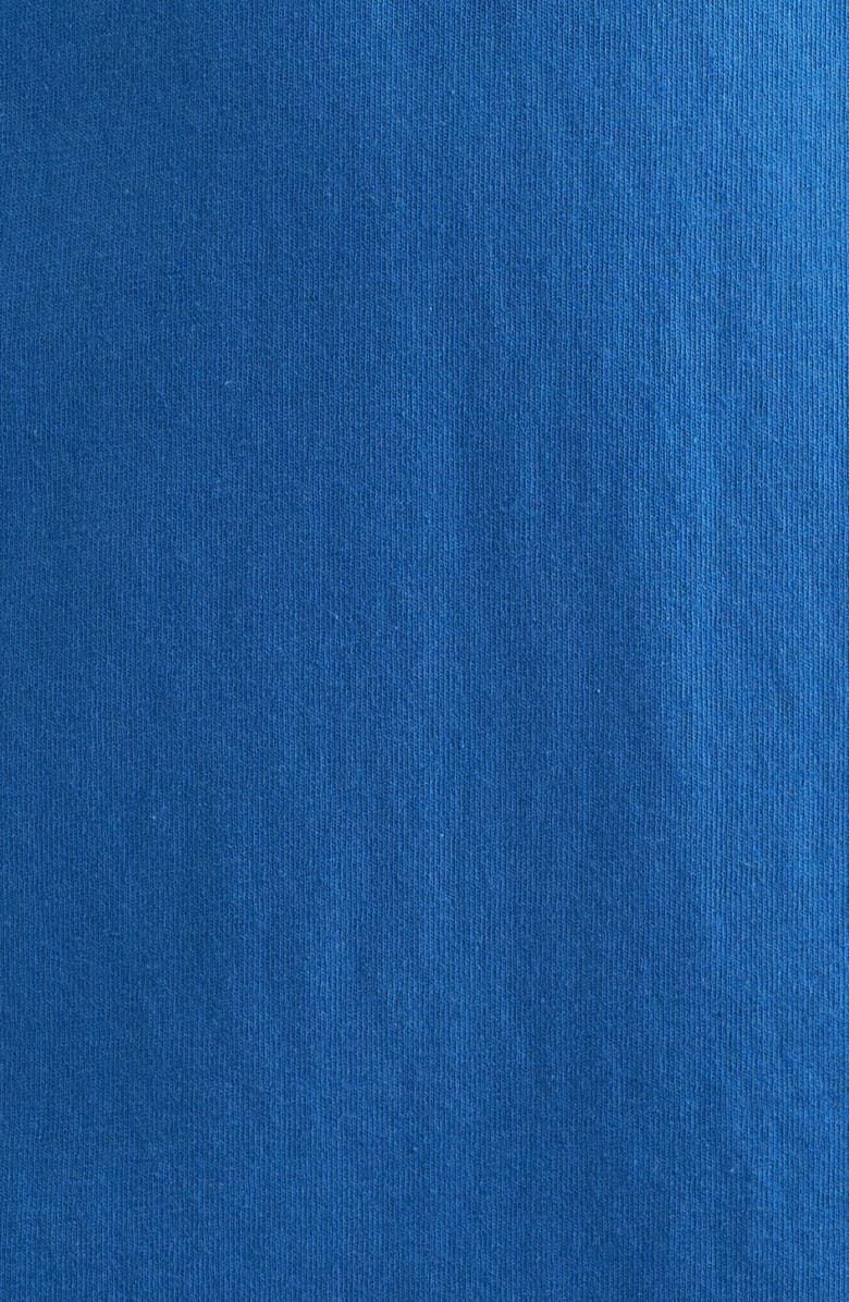 Frank & Eileen Lauren Polo Dress, Alternate, color, Lazuli