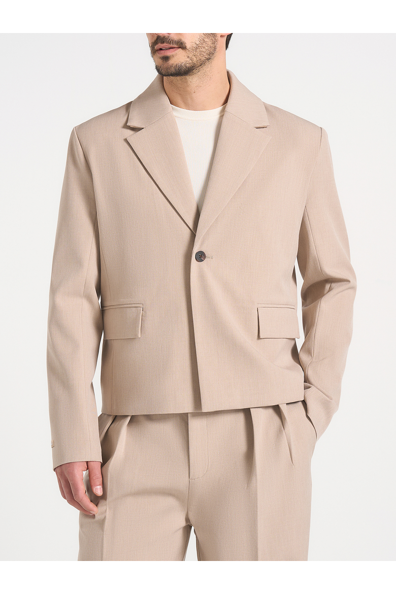 Silas - Cropped Blazer, Alternate, color, Taupe