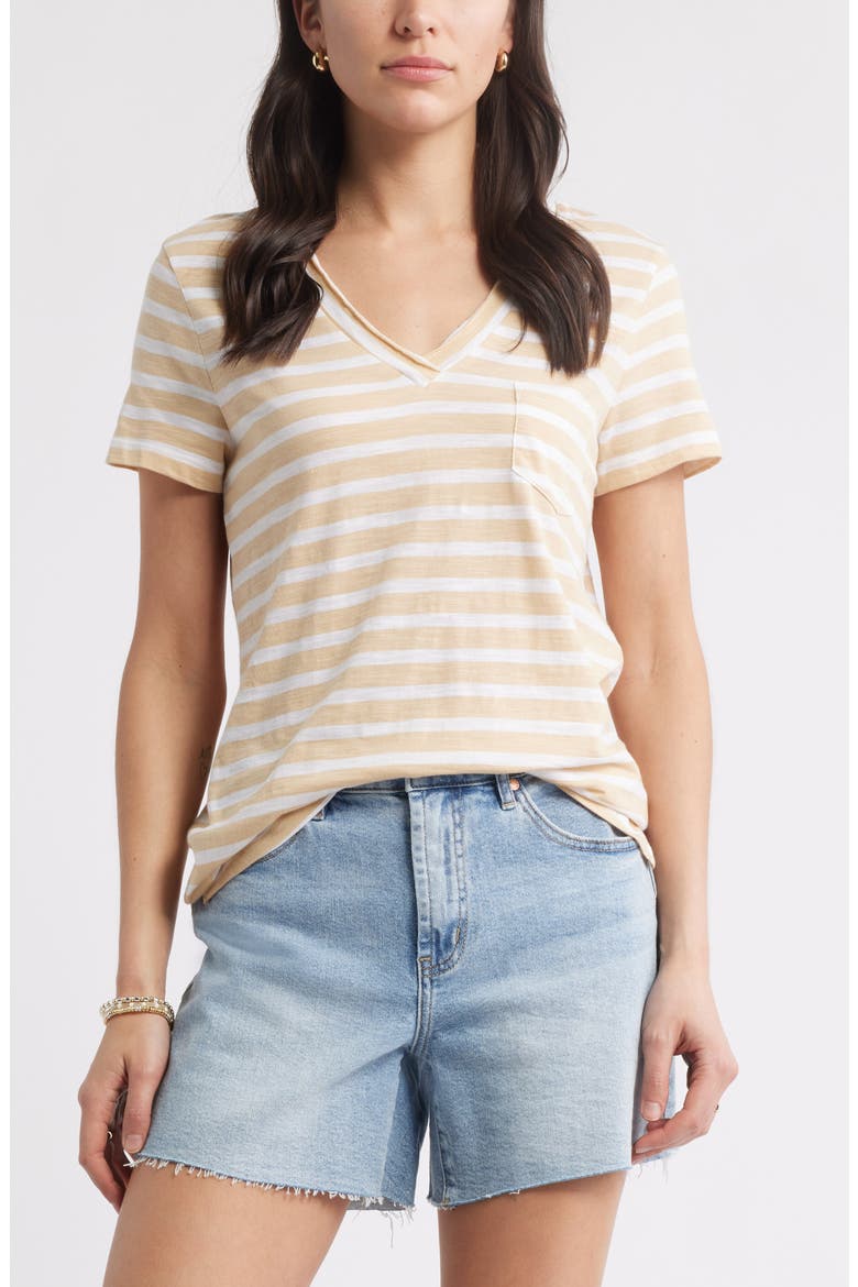Cotton & Modal V-Neck T-Shirt, Main, color, TAN S- WHITE ASHER STRIPE