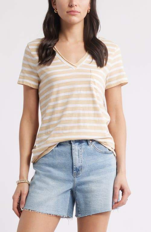 Caslonr Caslon(r) Cotton & Modal V-neck T-shirt