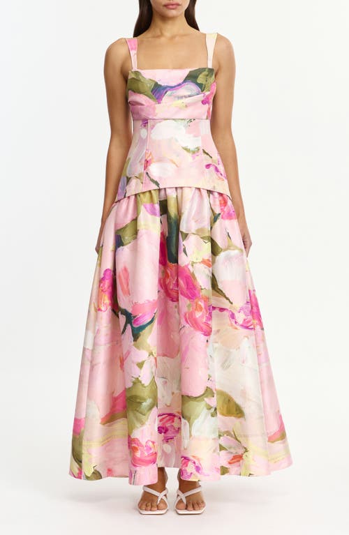 Acler Reeve Floral Print Dupioni Gown in Garden Afternoon at Nordstrom, Size 6