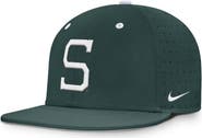Nike Men's Nike Green Michigan State Spartans Dugout True Dri-FIT Fitted Hat