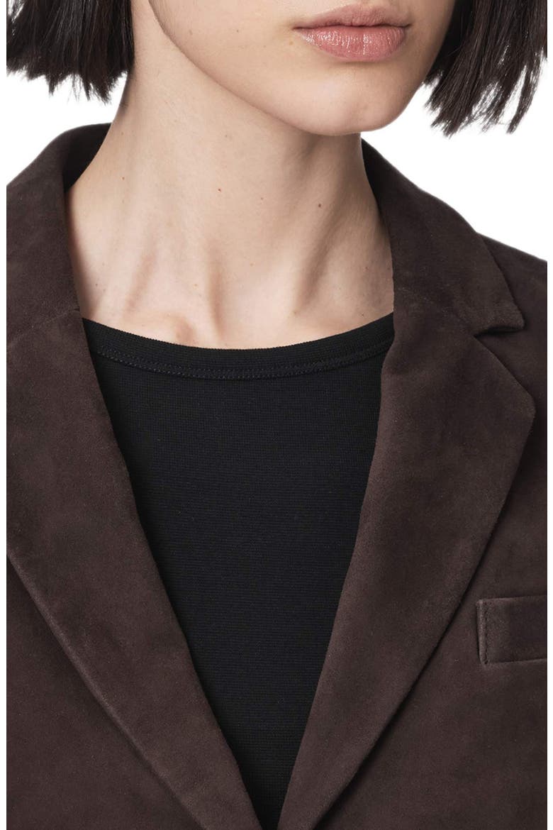 Apton Leather Blazer, Alternate, color, BITTER BROWN