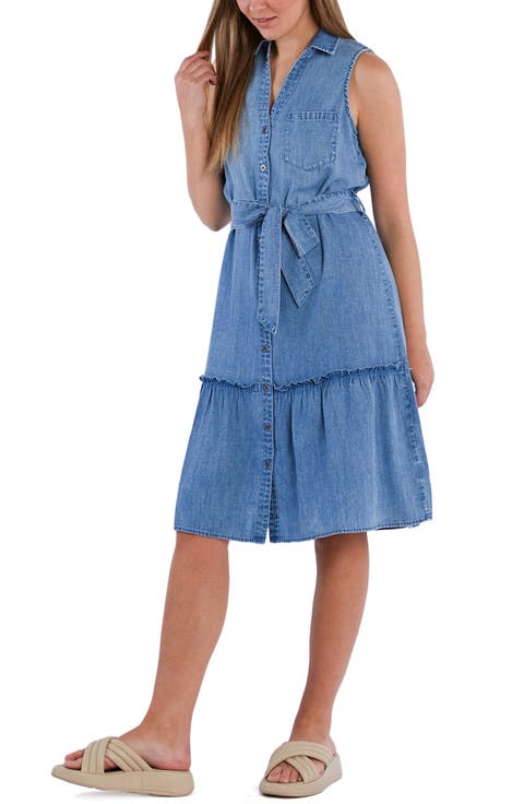 Allie Sleeveless Tiered Denim Shirtdress