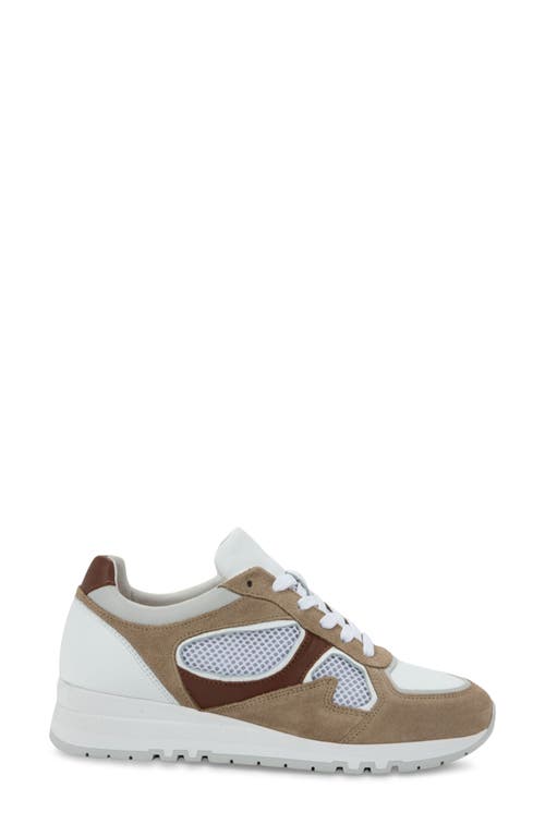 Naot Collins Sneaker In Multi