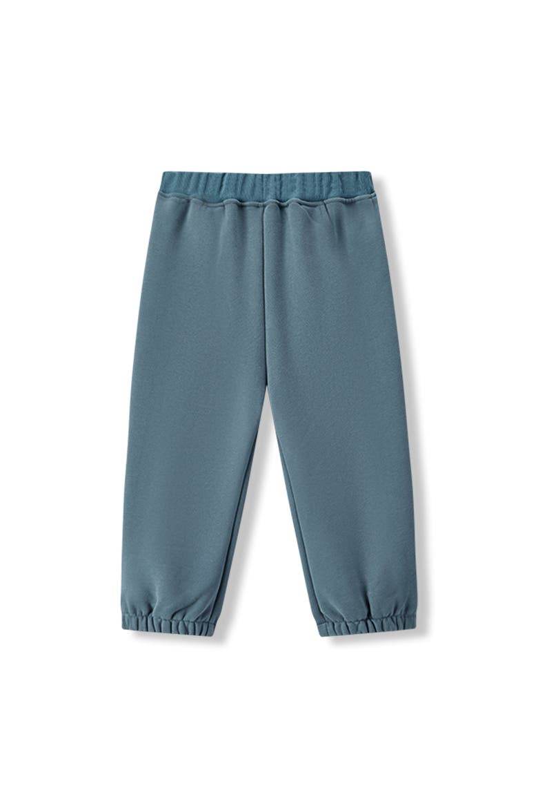 Cozy Sweatpants, Alternate, color, Dark Blue