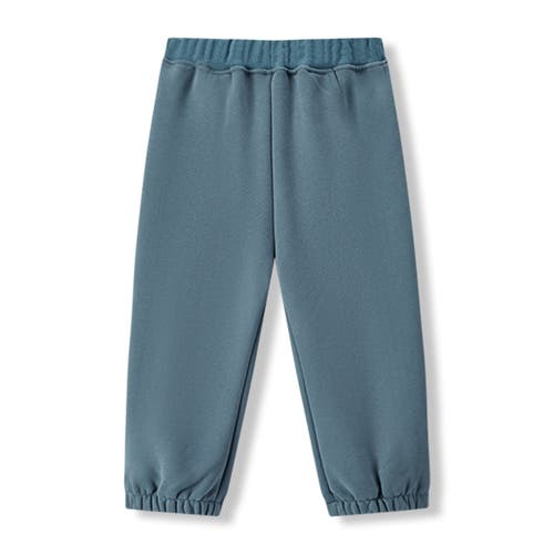 Milkbarn Cozy Sweatpants In Blue