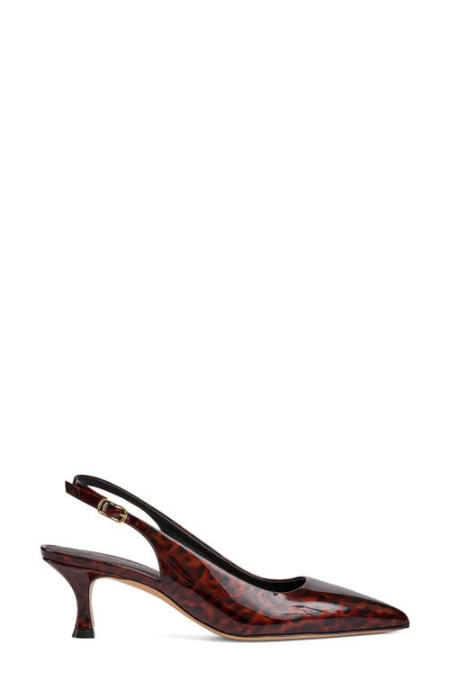 Bruno Magli Palerma Pointed Toe Kitten Heel Slingback Pump In Brown