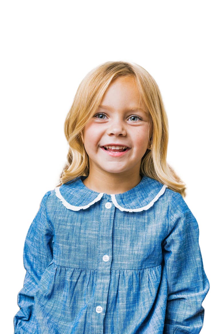 Girls' Organic Button Front Chambray Dress, Toddler, Alternate, color, Blue Chambray