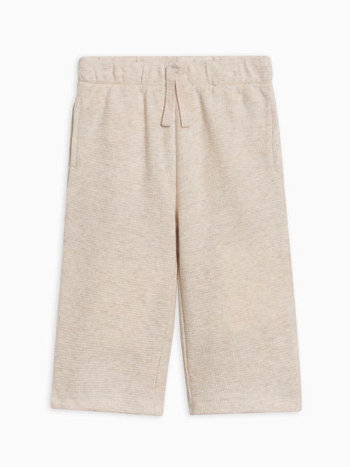 Kendi Clove Waffle Knit Pants In Neutral