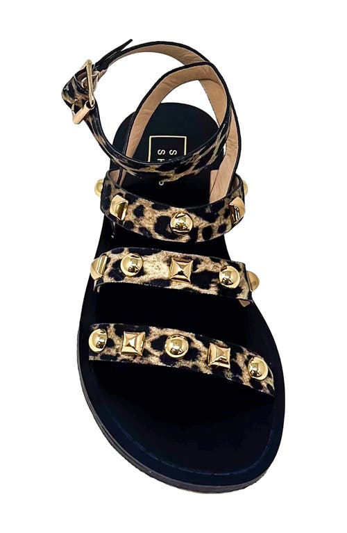 Shushop Daphne Studded Gladiator Sandal In Animal Print
