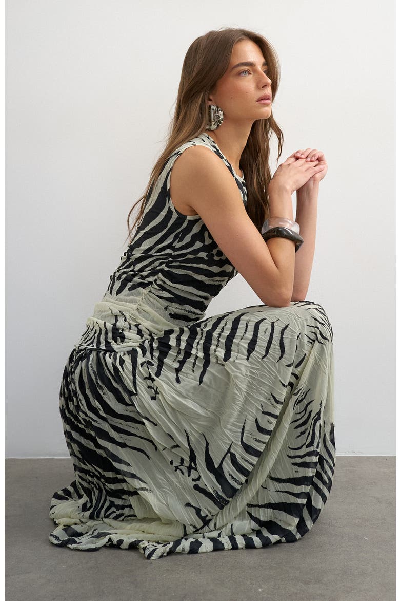 Zebra Print Drop Waist Maxi Dress, Alternate, color, WHITE