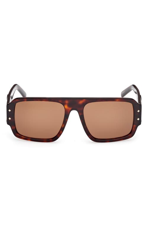 Mcm 55mm Polarized Navigator Sunglasses In Dark Havana/brown